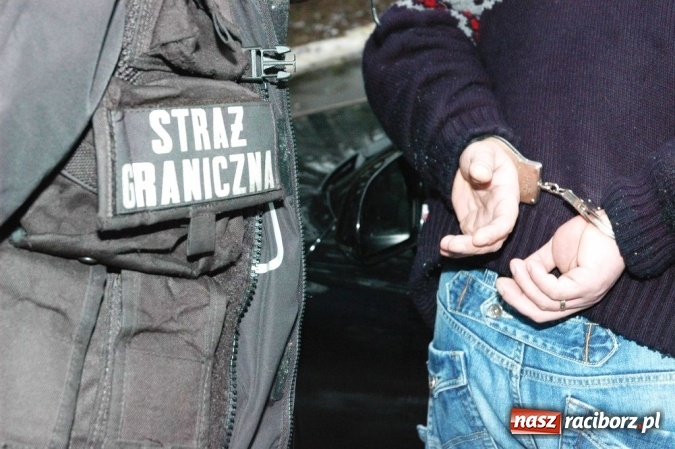 Zdjęcie w galerii na portalu naszraciborz.pl: Policjanci i raciborscy pogranicznicy rozbili zorganizowaną grupę przestępczą  wiadomości z regionu