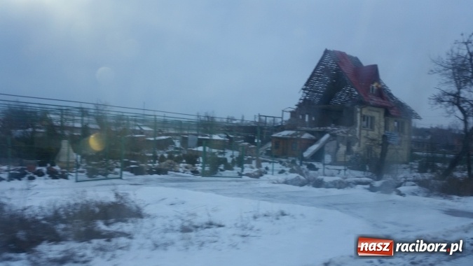 Zdjęcie w galerii na portalu naszraciborz.pl: Nie możemy pozostawić ich bez pomocy... Nie możemy! wiadomości z regionu