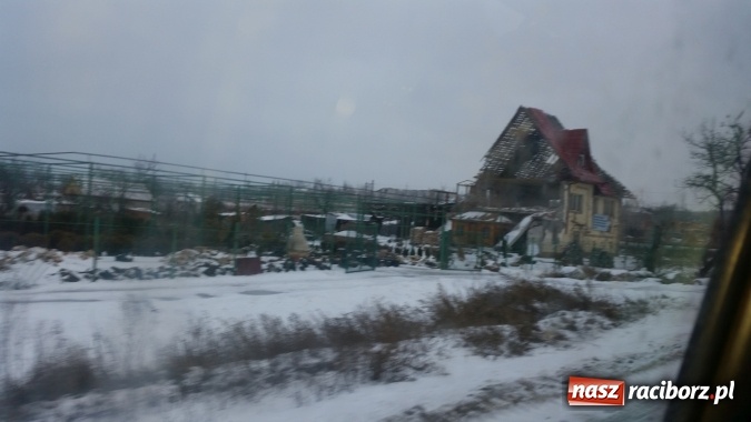Zdjęcie w galerii na portalu naszraciborz.pl: Nie możemy pozostawić ich bez pomocy... Nie możemy! wiadomości z regionu