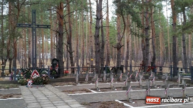 Zdjęcie w galerii na portalu naszraciborz.pl: Nie możemy pozostawić ich bez pomocy... Nie możemy! wiadomości z regionu