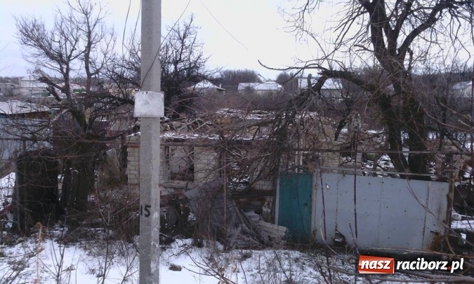 Zdjęcie w galerii na portalu naszraciborz.pl: Nie możemy pozostawić ich bez pomocy... Nie możemy! wiadomości z regionu