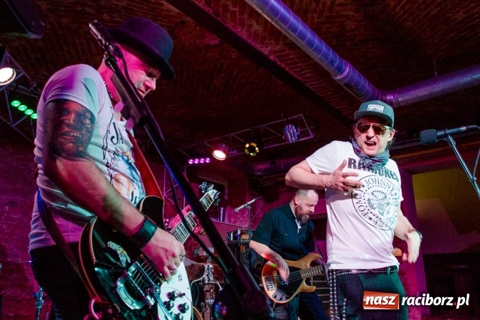 Zdjęcie w galerii na portalu naszraciborz.pl: Legenda polskiego rocka zagrała wczoraj w Raciborzu wiadomości z regionu