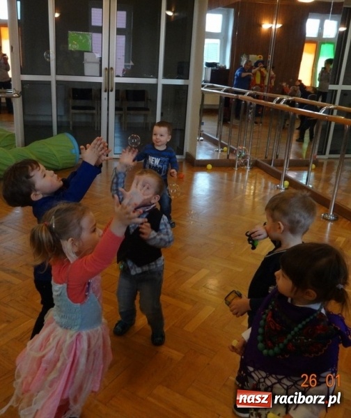 Zdjęcie w galerii na portalu naszraciborz.pl: Fikusie w Strzesze cieszą się z zimy wiadomości z regionu