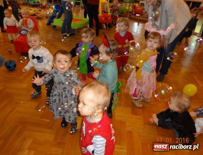 Zdjęcie w galerii na portalu naszraciborz.pl: Fikusie w Strzesze cieszą się z zimy wiadomości z regionu