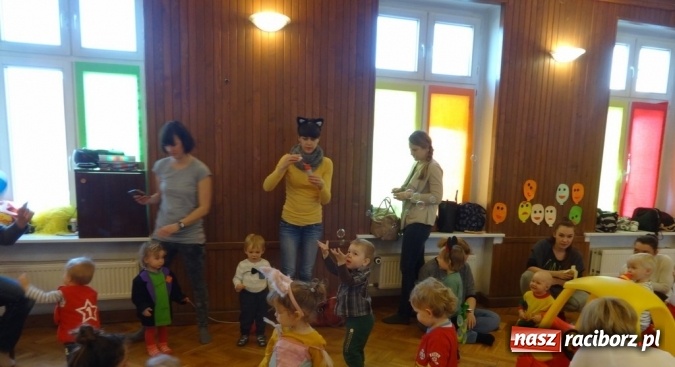 Zdjęcie w galerii na portalu naszraciborz.pl: Fikusie w Strzesze cieszą się z zimy wiadomości z regionu