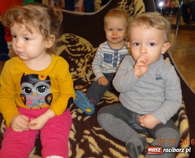 Zdjęcie w galerii na portalu naszraciborz.pl: Fikusie w Strzesze cieszą się z zimy wiadomości z regionu