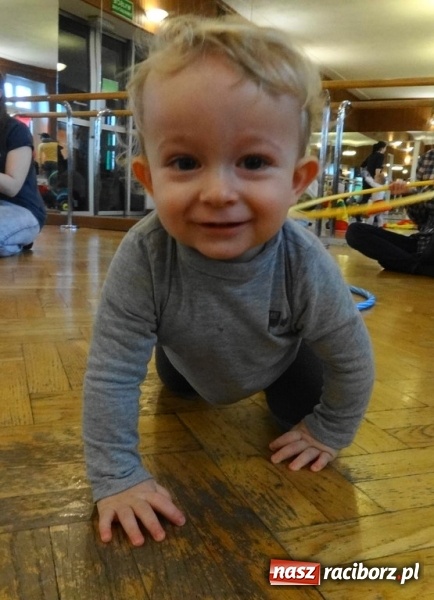 Zdjęcie w galerii na portalu naszraciborz.pl: Fikusie w Strzesze cieszą się z zimy wiadomości z regionu