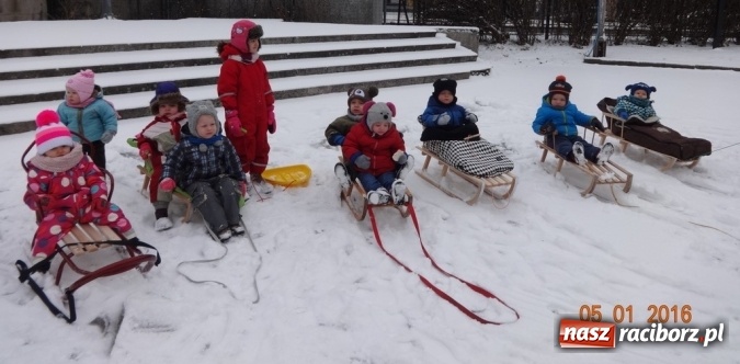 Zdjęcie w galerii na portalu naszraciborz.pl: Fikusie w Strzesze cieszą się z zimy wiadomości z regionu