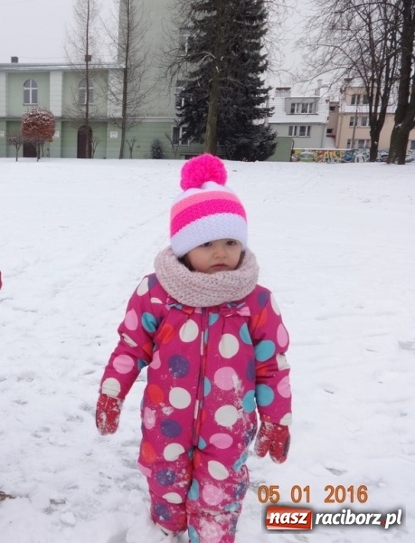 Zdjęcie w galerii na portalu naszraciborz.pl: Fikusie w Strzesze cieszą się z zimy wiadomości z regionu
