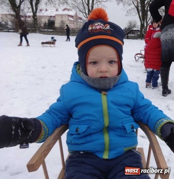 Zdjęcie w galerii na portalu naszraciborz.pl: Fikusie w Strzesze cieszą się z zimy wiadomości z regionu