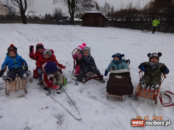 Zdjęcie w galerii na portalu naszraciborz.pl: Fikusie w Strzesze cieszą się z zimy wiadomości z regionu