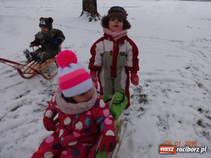 Zdjęcie w galerii na portalu naszraciborz.pl: Fikusie w Strzesze cieszą się z zimy wiadomości z regionu