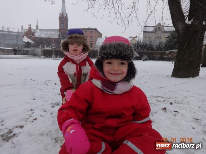 Zdjęcie w galerii na portalu naszraciborz.pl: Fikusie w Strzesze cieszą się z zimy wiadomości z regionu
