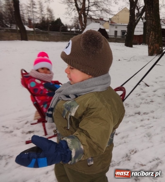Zdjęcie w galerii na portalu naszraciborz.pl: Fikusie w Strzesze cieszą się z zimy wiadomości z regionu