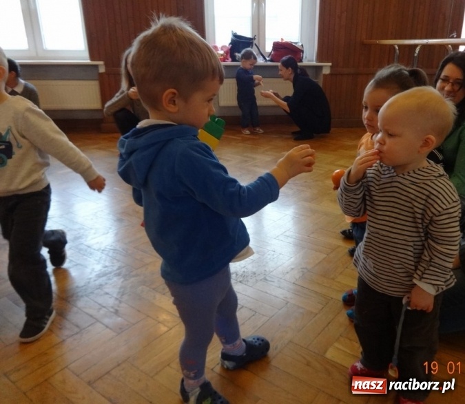 Zdjęcie w galerii na portalu naszraciborz.pl: Fikusie w Strzesze cieszą się z zimy wiadomości z regionu