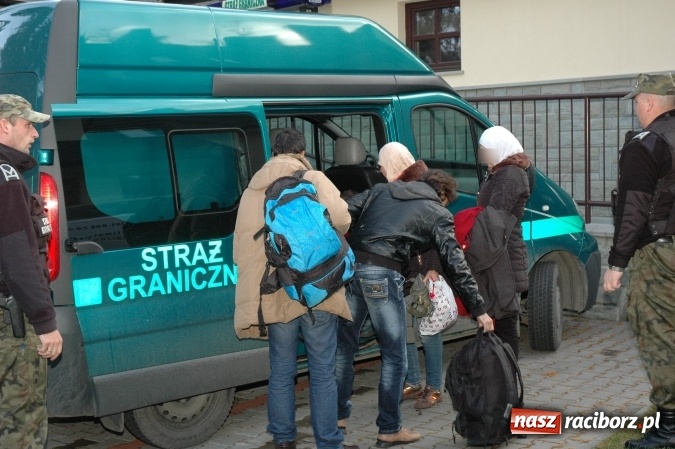 Zdjęcie w galerii na portalu naszraciborz.pl: Polsko-syryjskie małżeństwo organizowało nielegalną migrację z państw arabskich. Grupę rozbili pogranicznicy z Raciborza wiadomości z regionu