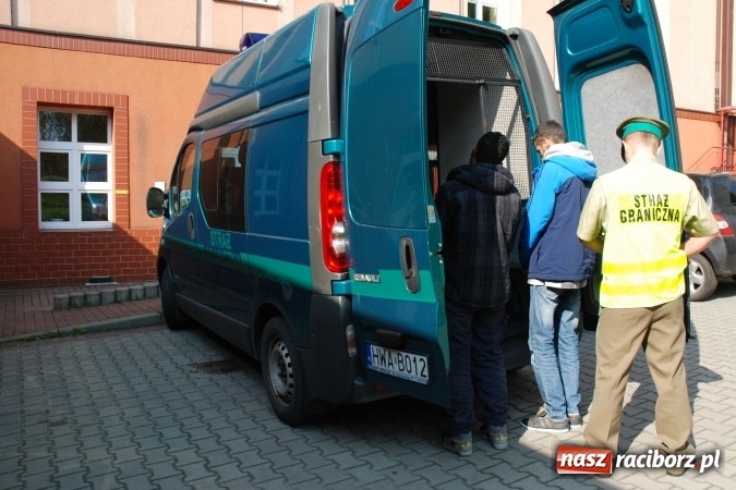 Zdjęcie w galerii na portalu naszraciborz.pl: Polsko-syryjskie małżeństwo organizowało nielegalną migrację z państw arabskich. Grupę rozbili pogranicznicy z Raciborza wiadomości z regionu