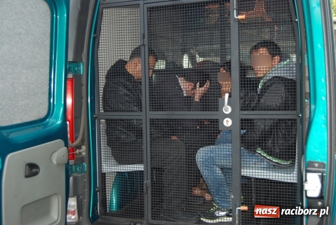 Zdjęcie w galerii na portalu naszraciborz.pl: Polsko-syryjskie małżeństwo organizowało nielegalną migrację z państw arabskich. Grupę rozbili pogranicznicy z Raciborza wiadomości z regionu