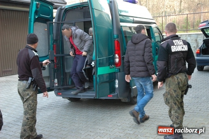 Zdjęcie w galerii na portalu naszraciborz.pl: Polsko-syryjskie małżeństwo organizowało nielegalną migrację z państw arabskich. Grupę rozbili pogranicznicy z Raciborza wiadomości z regionu