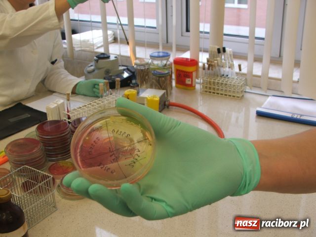 Zdjęcie w galerii na portalu naszraciborz.pl: Nadużywamy ANTYBIOTYKÓW wiadomości z regionu