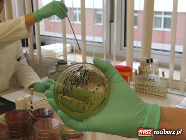 Zdjęcie w galerii na portalu naszraciborz.pl: Nadużywamy ANTYBIOTYKÓW wiadomości z regionu