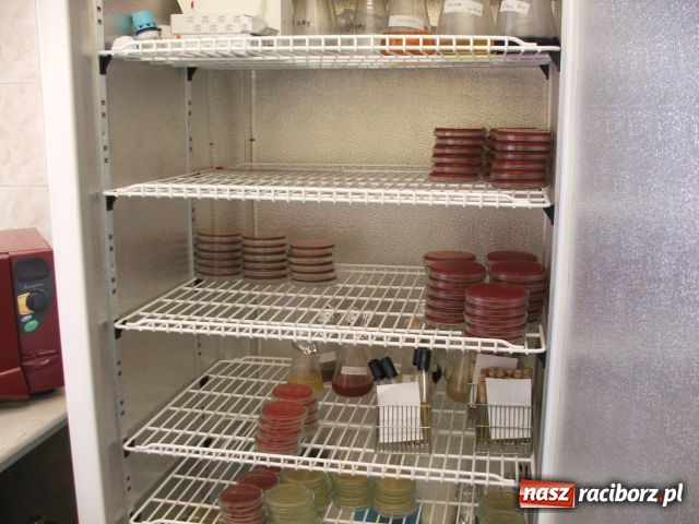 Zdjęcie w galerii na portalu naszraciborz.pl: Nadużywamy ANTYBIOTYKÓW wiadomości z regionu