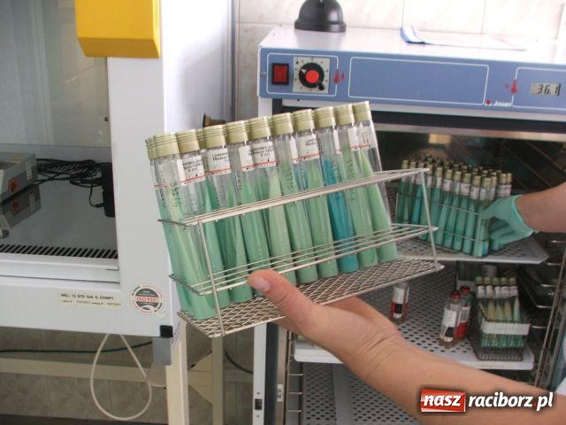 Zdjęcie w galerii na portalu naszraciborz.pl: Nadużywamy ANTYBIOTYKÓW wiadomości z regionu