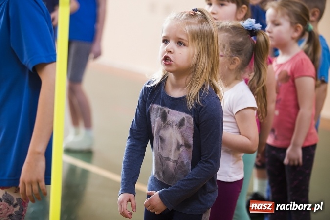 Zdjęcie w galerii na portalu naszraciborz.pl: Zawody sportowe dla przedszkolaków w SP 15 wiadomości z regionu
