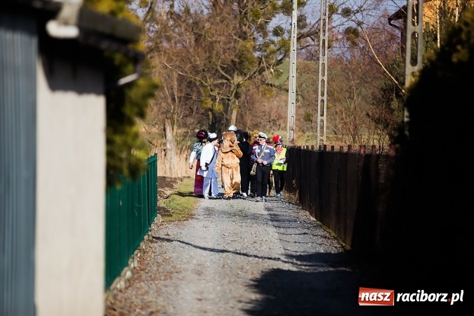 Zdjęcie w galerii na portalu naszraciborz.pl: Sławików. Bez tańczenia z niedźwiedziem szczęścia nie ma! wiadomości z regionu
