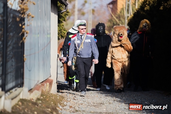 Zdjęcie w galerii na portalu naszraciborz.pl: Sławików. Bez tańczenia z niedźwiedziem szczęścia nie ma! wiadomości z regionu