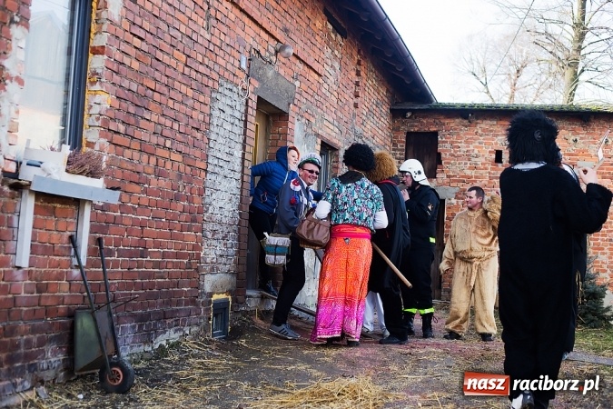 Zdjęcie w galerii na portalu naszraciborz.pl: Sławików. Bez tańczenia z niedźwiedziem szczęścia nie ma! wiadomości z regionu