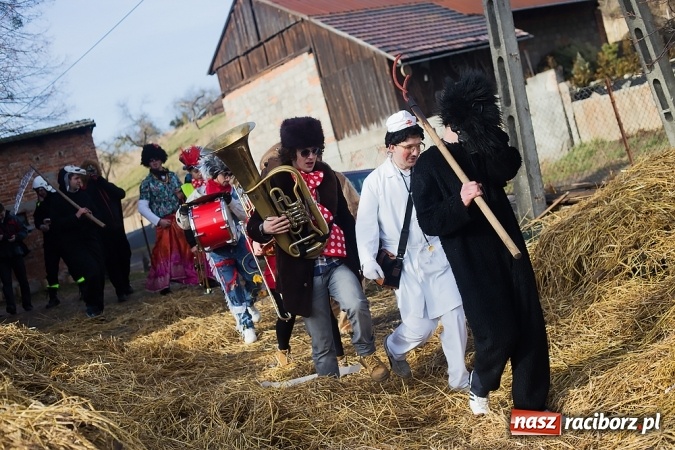 Zdjęcie w galerii na portalu naszraciborz.pl: Sławików. Bez tańczenia z niedźwiedziem szczęścia nie ma! wiadomości z regionu