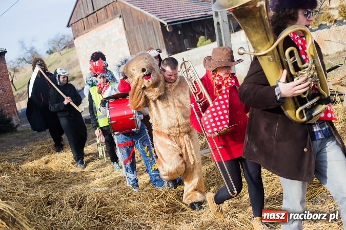Zdjęcie w galerii na portalu naszraciborz.pl: Sławików. Bez tańczenia z niedźwiedziem szczęścia nie ma! wiadomości z regionu