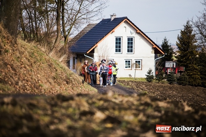Zdjęcie w galerii na portalu naszraciborz.pl: Sławików. Bez tańczenia z niedźwiedziem szczęścia nie ma! wiadomości z regionu