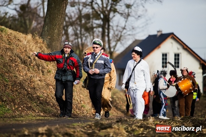 Zdjęcie w galerii na portalu naszraciborz.pl: Sławików. Bez tańczenia z niedźwiedziem szczęścia nie ma! wiadomości z regionu