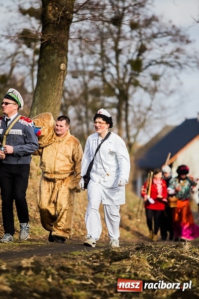 Zdjęcie w galerii na portalu naszraciborz.pl: Sławików. Bez tańczenia z niedźwiedziem szczęścia nie ma! wiadomości z regionu