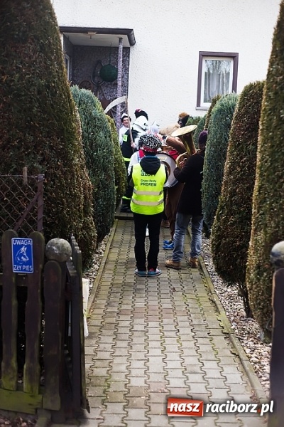Zdjęcie w galerii na portalu naszraciborz.pl: Sławików. Bez tańczenia z niedźwiedziem szczęścia nie ma! wiadomości z regionu