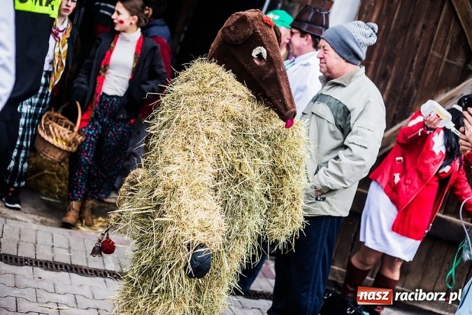 Zdjęcie w galerii na portalu naszraciborz.pl: Samborowicki tanzbär, czyli wesołe pożegnanie karnawału wiadomości z regionu