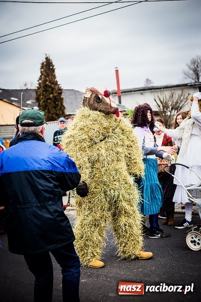 Zdjęcie w galerii na portalu naszraciborz.pl: Samborowicki tanzbär, czyli wesołe pożegnanie karnawału wiadomości z regionu
