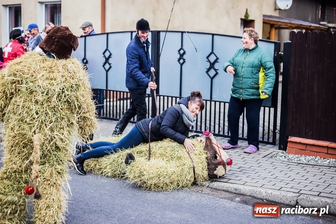 Zdjęcie w galerii na portalu naszraciborz.pl: Samborowicki tanzbär, czyli wesołe pożegnanie karnawału wiadomości z regionu