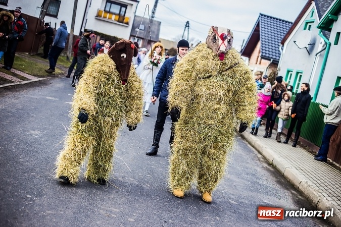 Zdjęcie w galerii na portalu naszraciborz.pl: Samborowicki tanzbär, czyli wesołe pożegnanie karnawału wiadomości z regionu