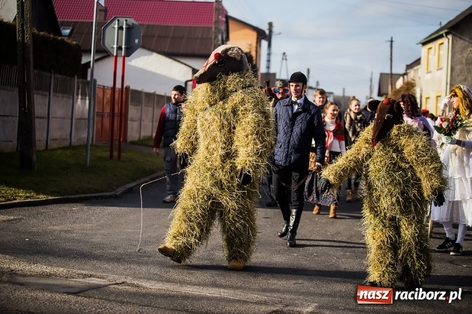 Zdjęcie w galerii na portalu naszraciborz.pl: Samborowicki tanzbär, czyli wesołe pożegnanie karnawału wiadomości z regionu