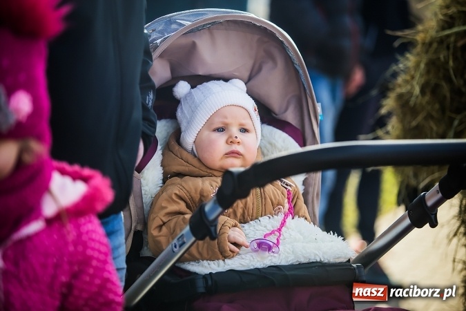 Zdjęcie w galerii na portalu naszraciborz.pl: Samborowicki tanzbär, czyli wesołe pożegnanie karnawału wiadomości z regionu