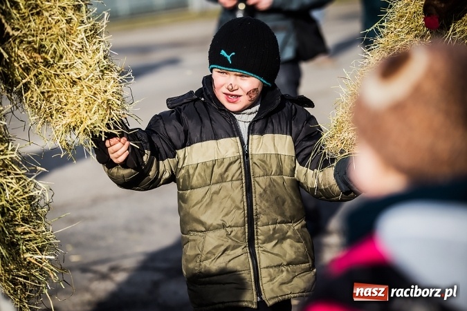 Zdjęcie w galerii na portalu naszraciborz.pl: Samborowicki tanzbär, czyli wesołe pożegnanie karnawału wiadomości z regionu