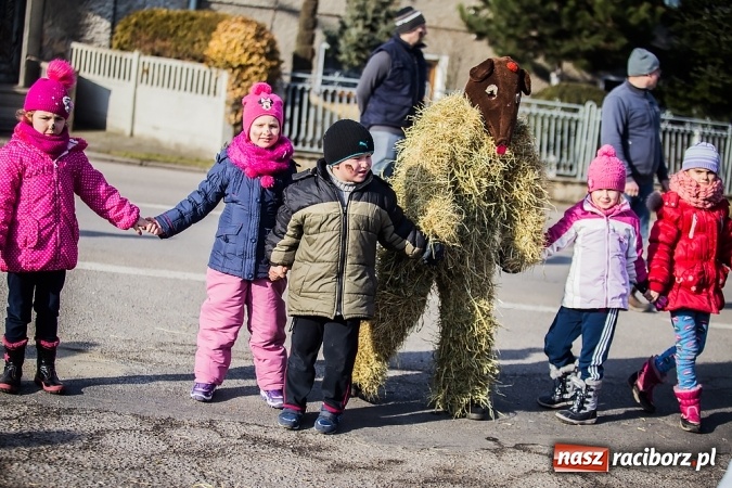 Zdjęcie w galerii na portalu naszraciborz.pl: Samborowicki tanzbär, czyli wesołe pożegnanie karnawału wiadomości z regionu