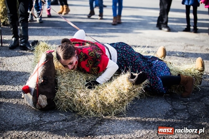 Zdjęcie w galerii na portalu naszraciborz.pl: Samborowicki tanzbär, czyli wesołe pożegnanie karnawału wiadomości z regionu