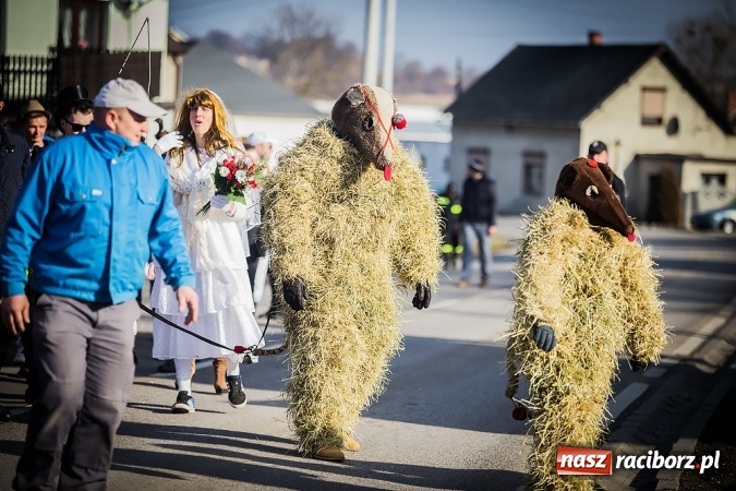 Zdjęcie w galerii na portalu naszraciborz.pl: Samborowicki tanzbär, czyli wesołe pożegnanie karnawału wiadomości z regionu