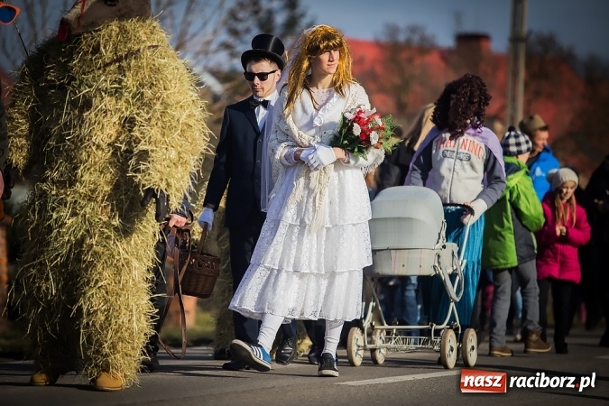 Zdjęcie w galerii na portalu naszraciborz.pl: Samborowicki tanzbär, czyli wesołe pożegnanie karnawału wiadomości z regionu