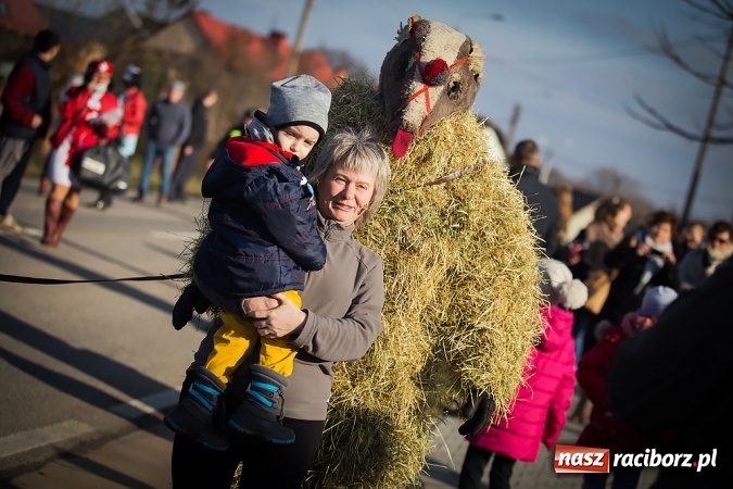 Zdjęcie w galerii na portalu naszraciborz.pl: Samborowicki tanzbär, czyli wesołe pożegnanie karnawału wiadomości z regionu