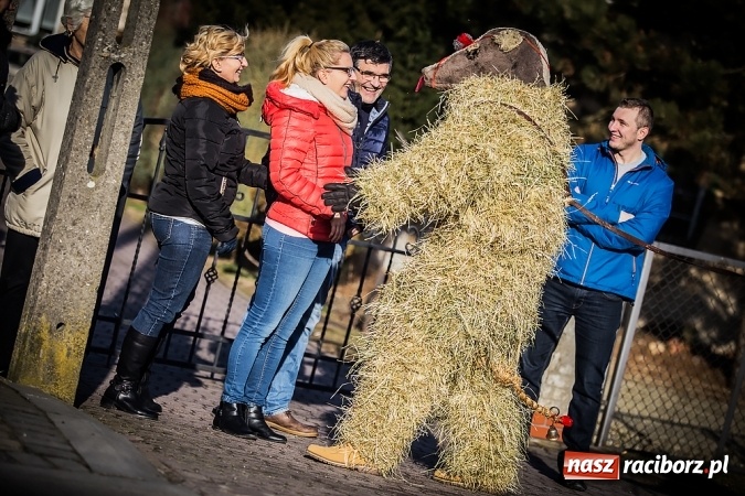 Zdjęcie w galerii na portalu naszraciborz.pl: Samborowicki tanzbär, czyli wesołe pożegnanie karnawału wiadomości z regionu